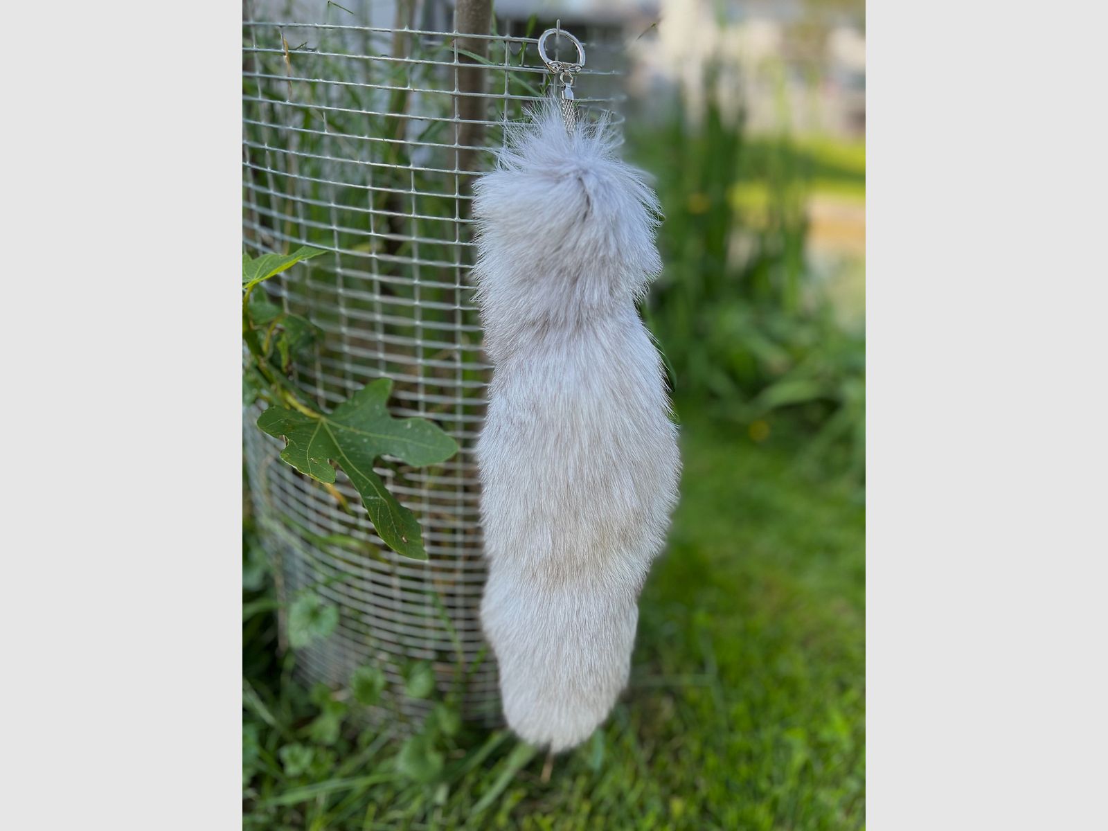 Genuine Arctic Fox Tail with Keychain