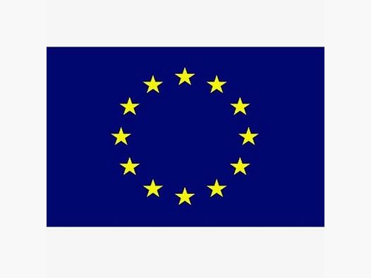 Europäische Flagge