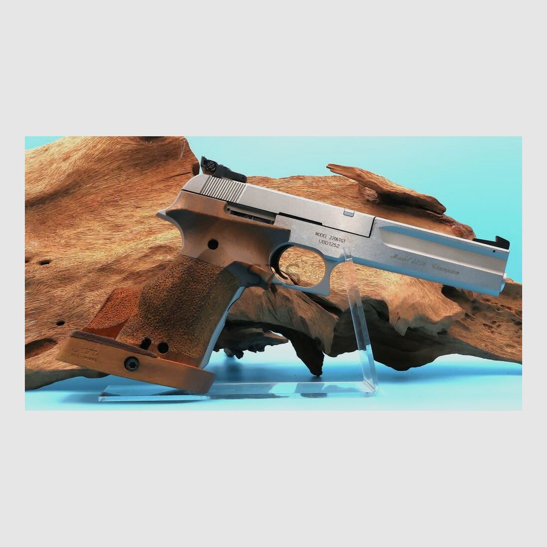 Smith & Wesson 2206 Target Champion