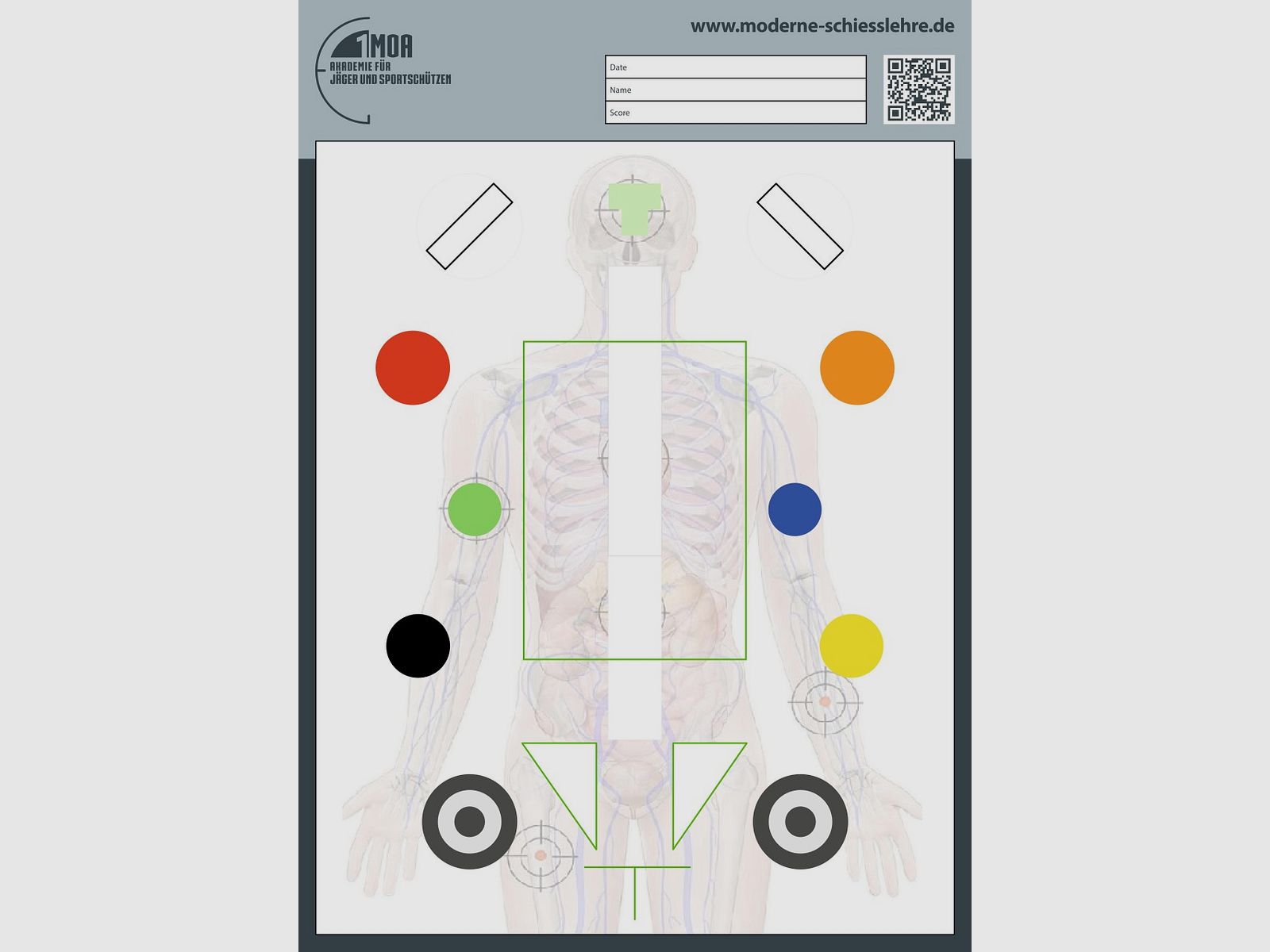 1MOA - Combined Anatomy Training Target DIN A1 Handgun Training for ...