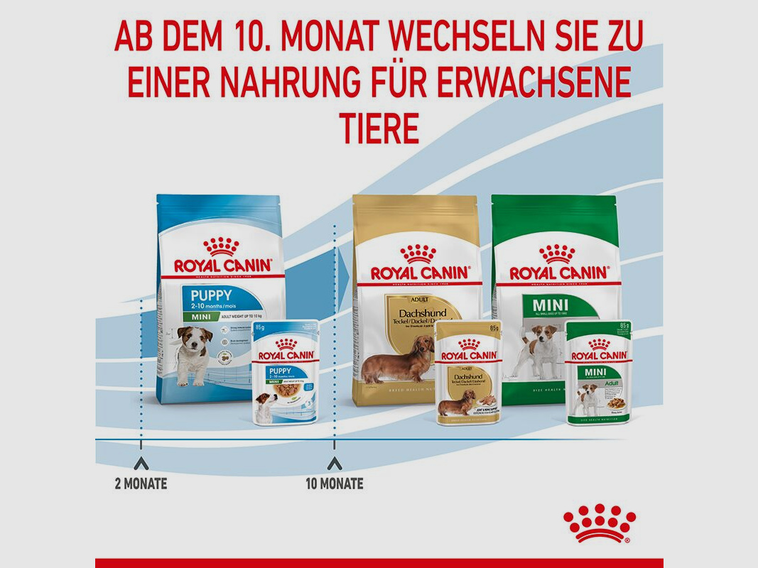 ROYAL CANIN Kleine Hunde Nassfutter Welpen bis zum 10. Monat 12x85 g