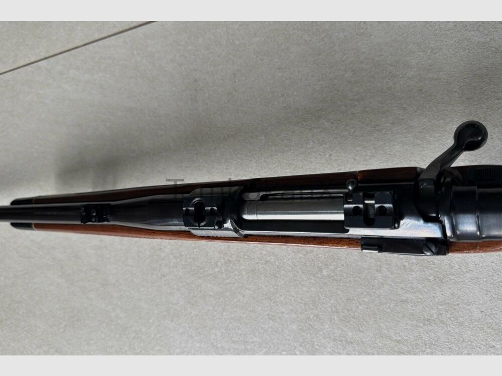 Interarms Marx X .30-06Spring