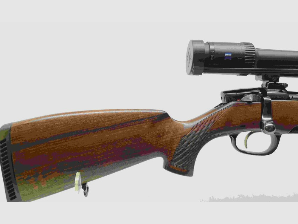 Steyr Mannlicher M mit Zeiss Conquest V6