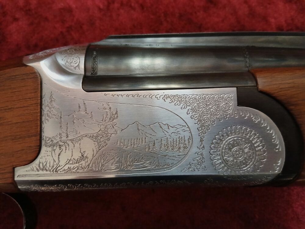 Sabatti Frankonia Chasse 65