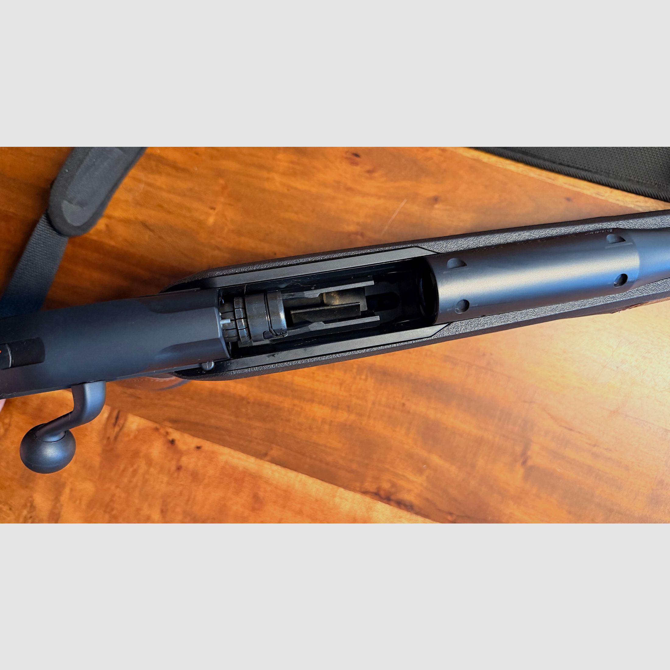 Blaser R8 Professional Succes Leder (braun) in 300 Win Mag