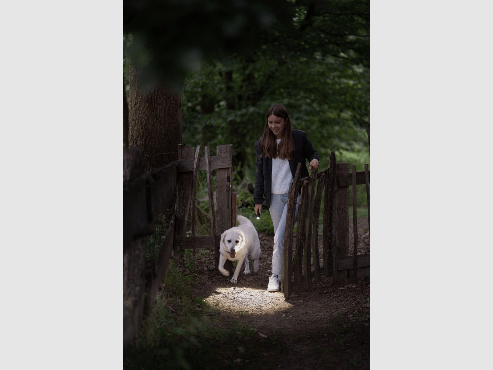 Lampe de poche LEDLENSER P5R Core