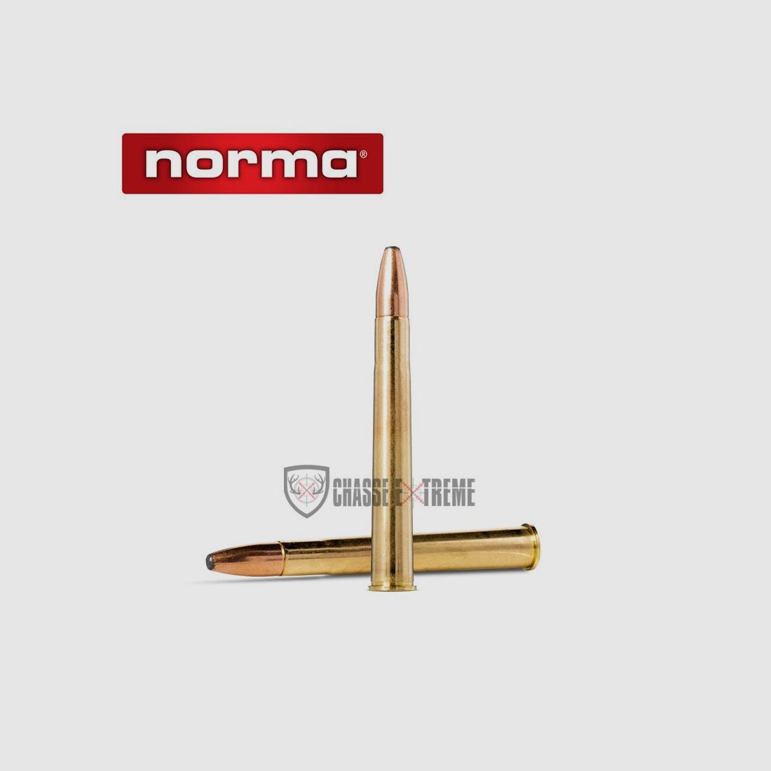 20 Munitions NORMA Cal 9.3x74r 285gr Oryx