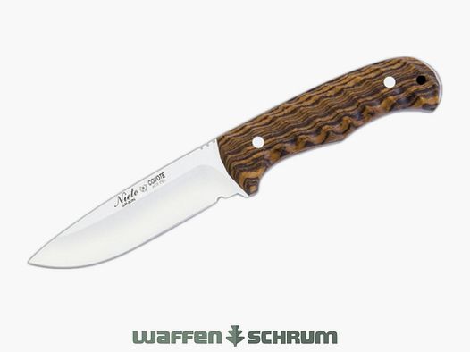 Nieto COYOTE Bokote