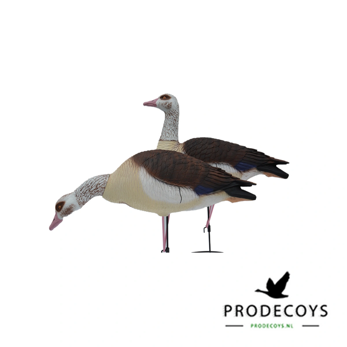 Prodecoys Elite nijlgans 6 stuks