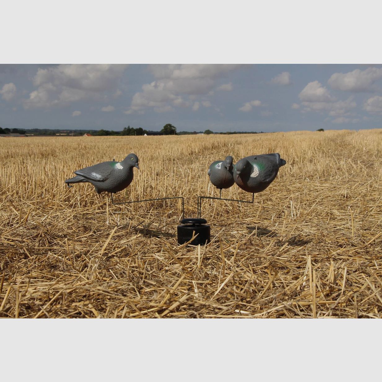 Lockvogel Karussell Tripple Motion