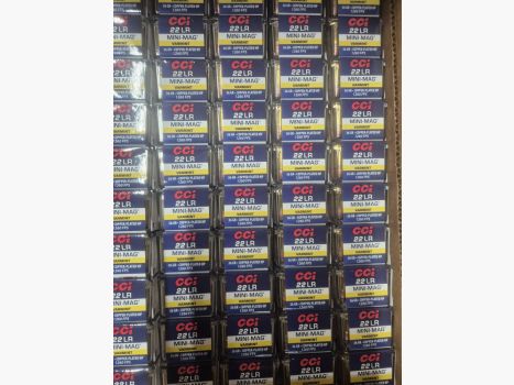 CCI MUNICIÓN .22 LR 36GR MINI-MAG CPHP 100 uds.