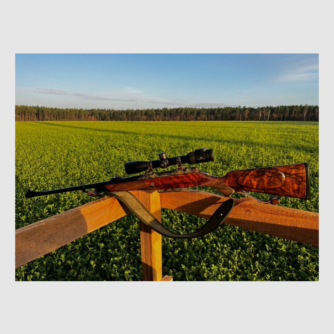 Sauer & Sohn Custom by Mohring Jagdwaffen Sauer 80 Custom Luxus