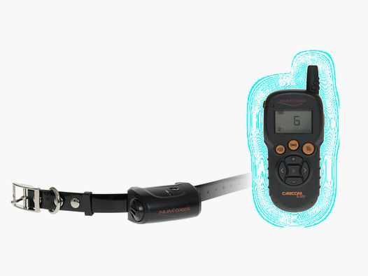 Training collar Canicom 5 – 500