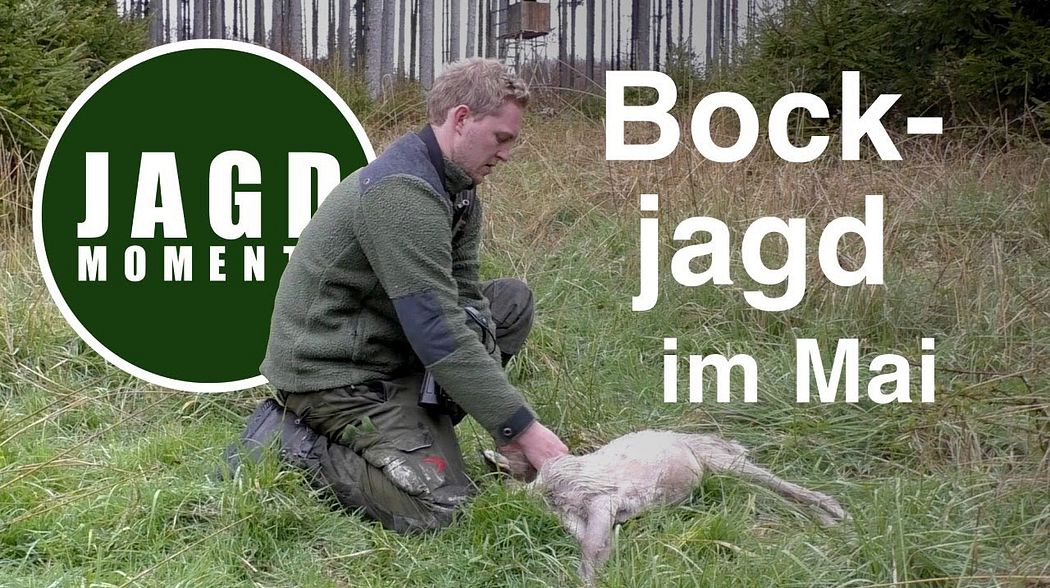 JagdMomente | Folge 2 | Bockjagd im Mai