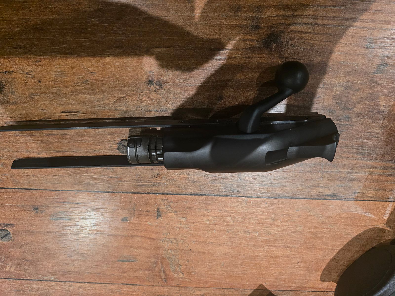 Blaser R8 Professional Success