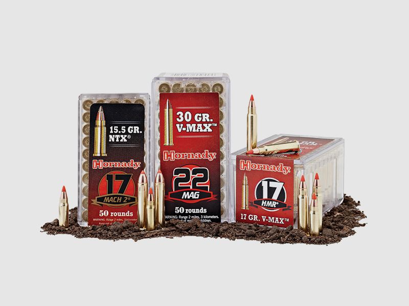 Hornady Varmint Express .22 LR 2.6g LRN
