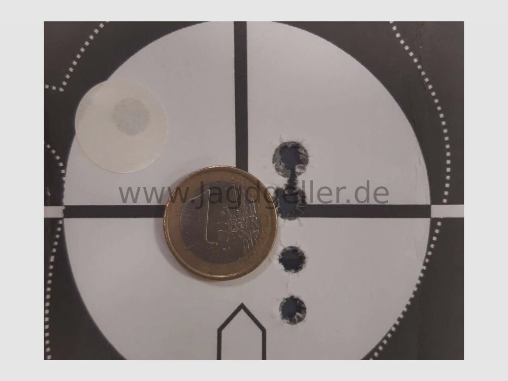 Bergstutzen Blaser BS 95 Luxus .30R Blaser und 5,6x50R Magn. mit 2,5-10x50 .30RBlaser;5,6x50R Mag
