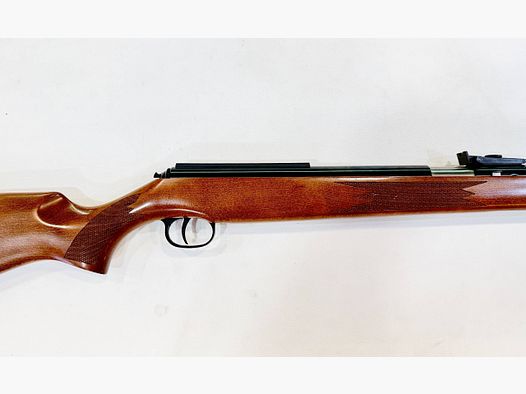 DIANA 460 MAGNUM T06 – 5,5 MM