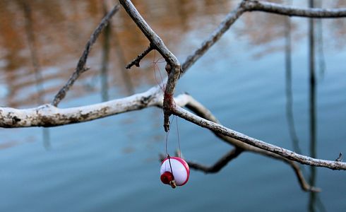 Die Kunst der perfekten Pose beim Angeln: Ein umfassender Leitfaden für Angler