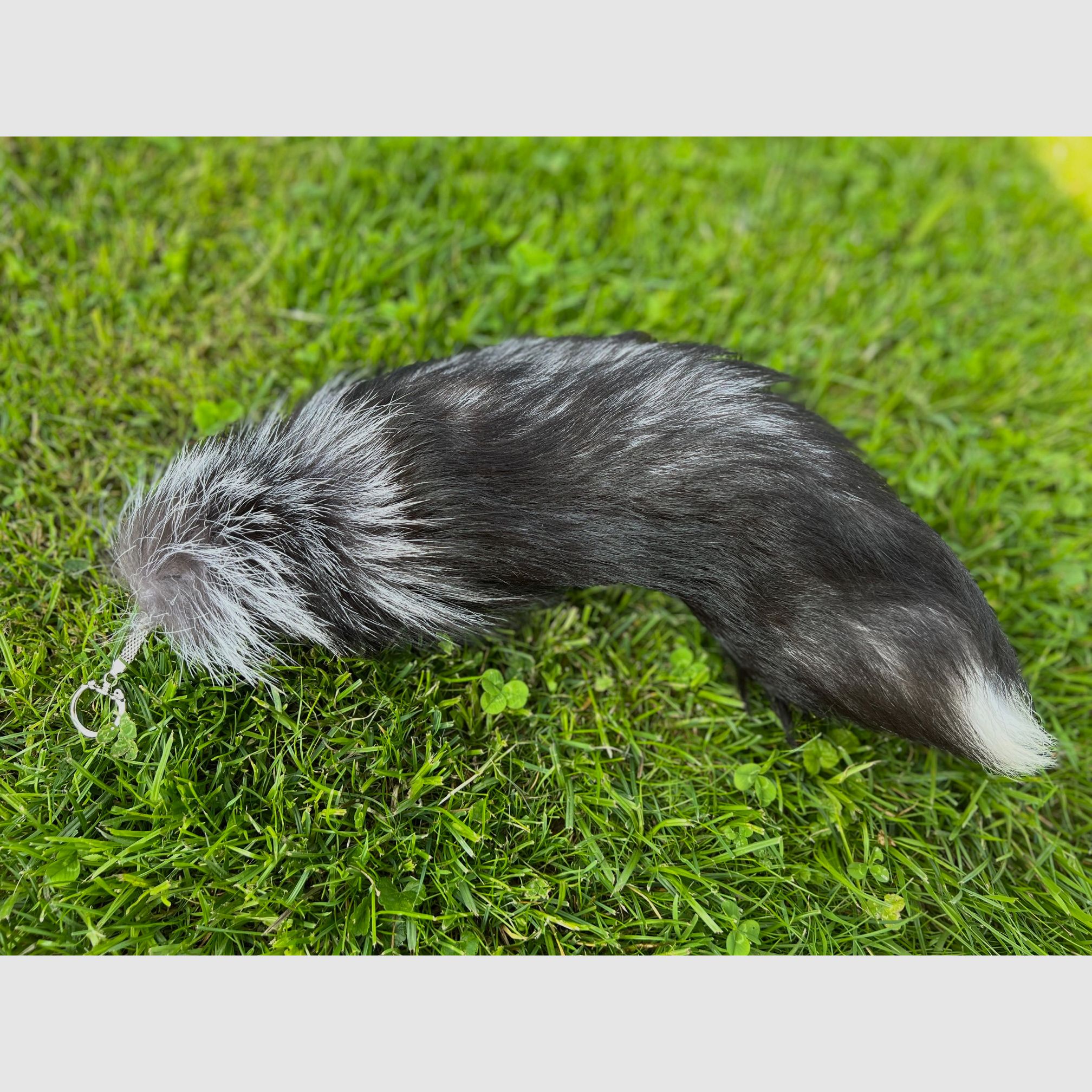 Real silver fox tail with keychain