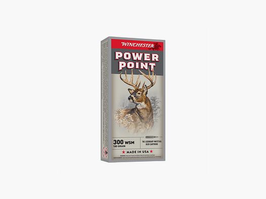 AM.KUL. 300WSM WINCHESTER 180GR PP (1op20szt.)