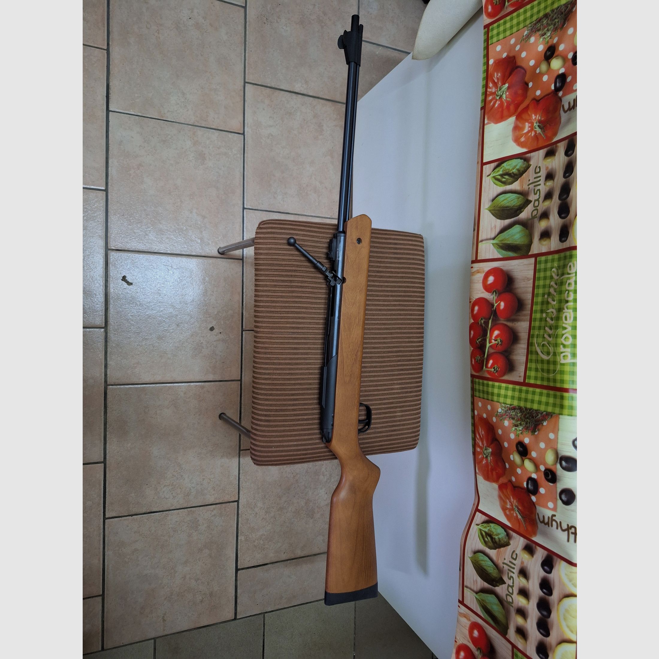 Fusil à air comprimé Diana Oktoberfest