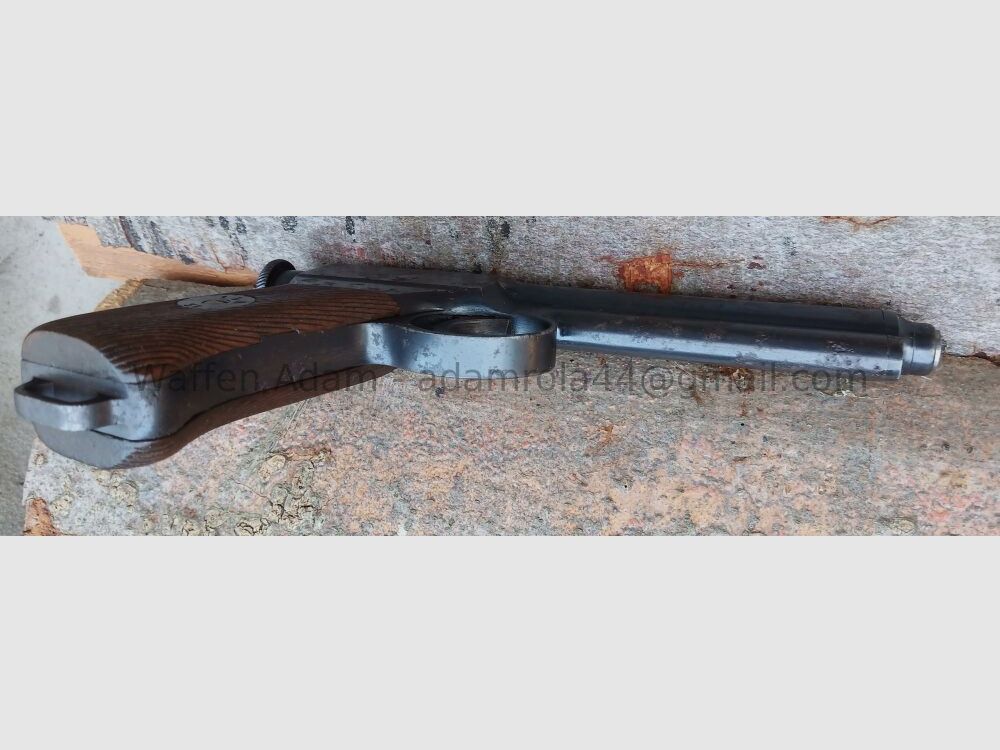 Steyr Roth-Steyr M.1907