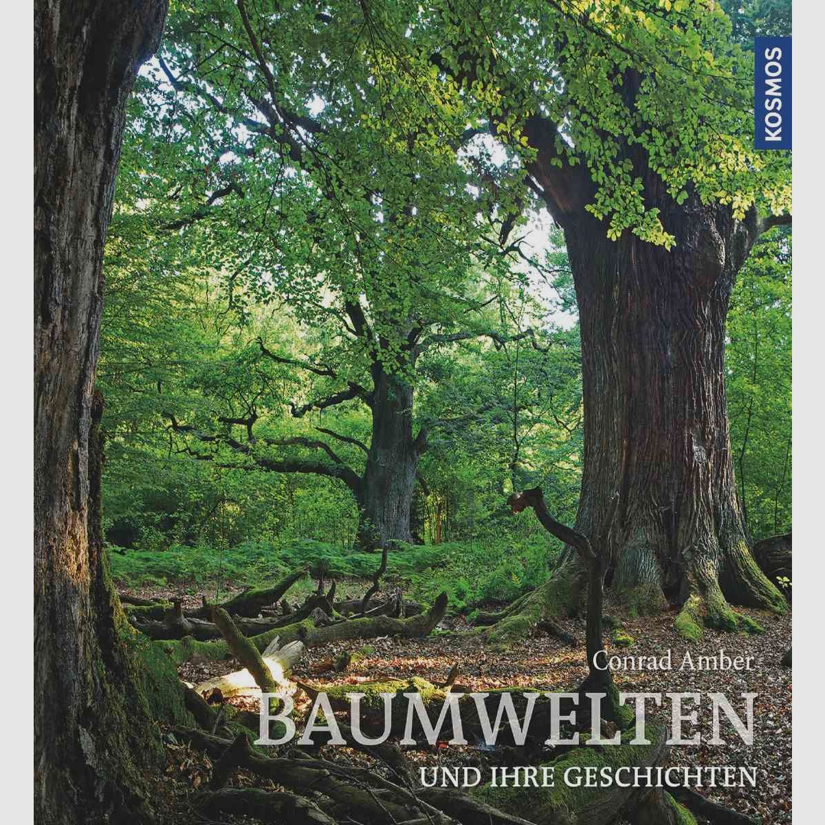 Kosmos Baumwelten Conrad Amber