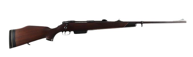 Sauer 80