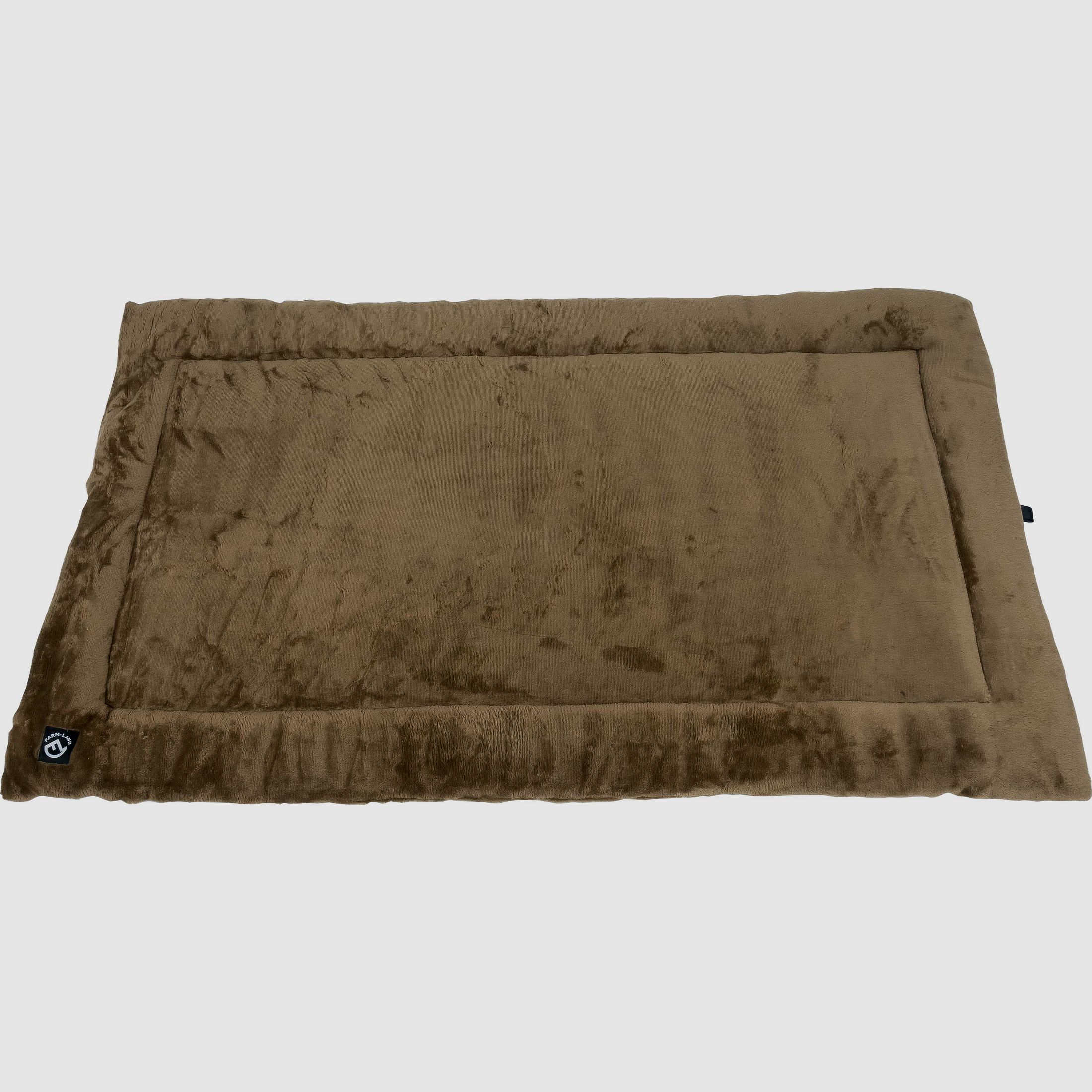 Velvet dog blanket
