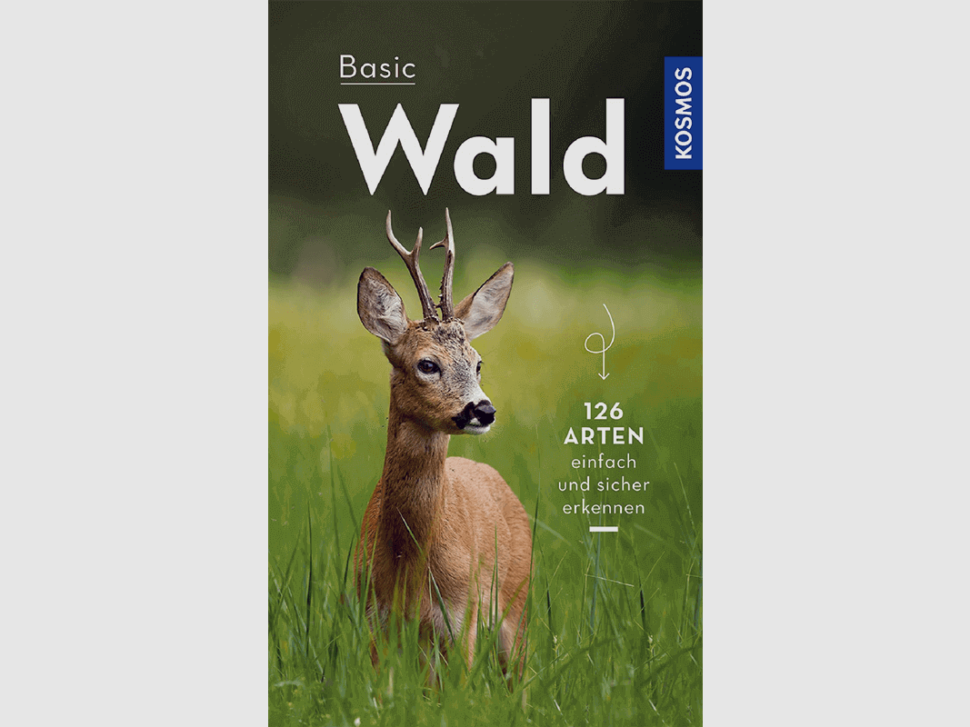 Buch "Basic Wald"