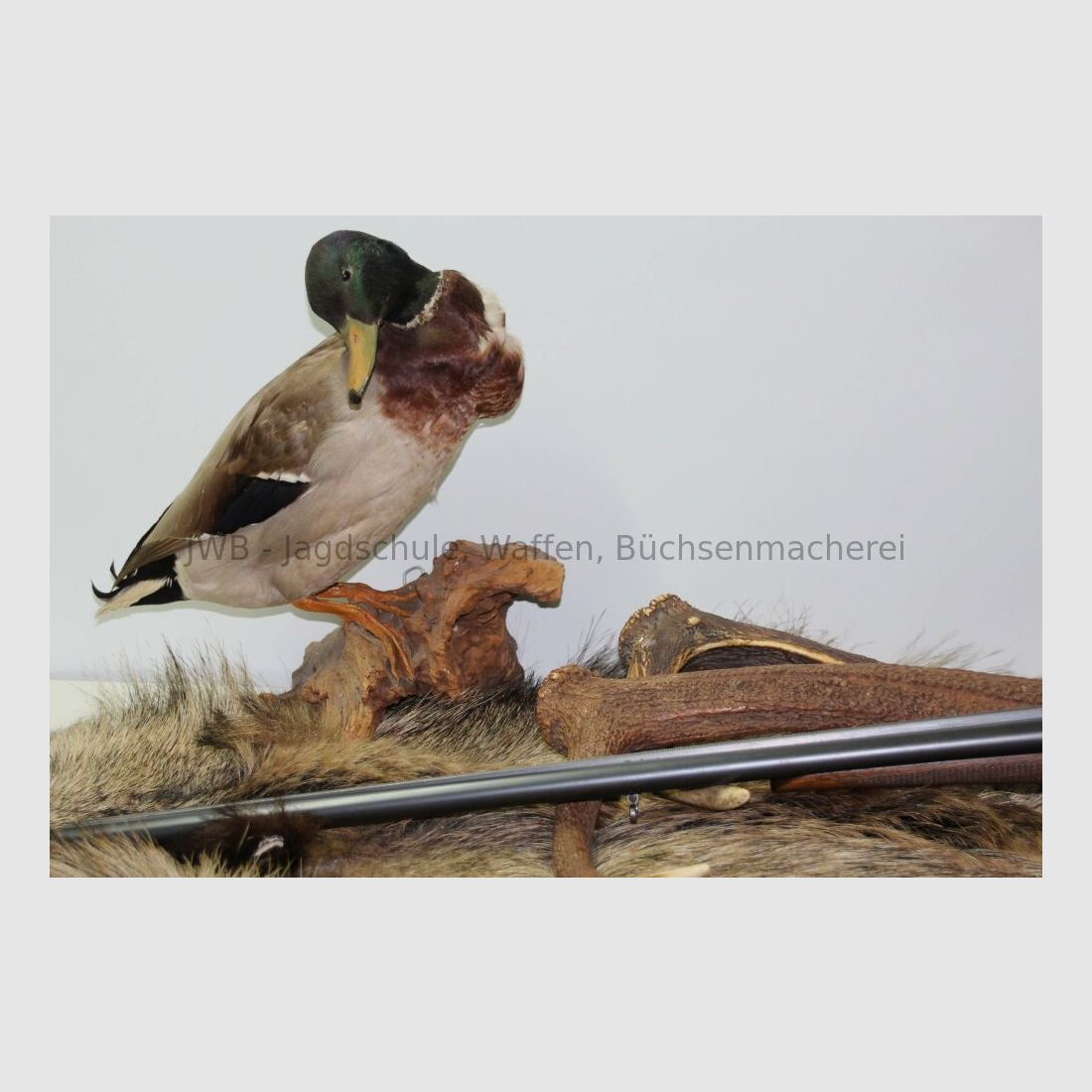 Simson S.A.G Awtowelo double-barreled shotgun 16/70