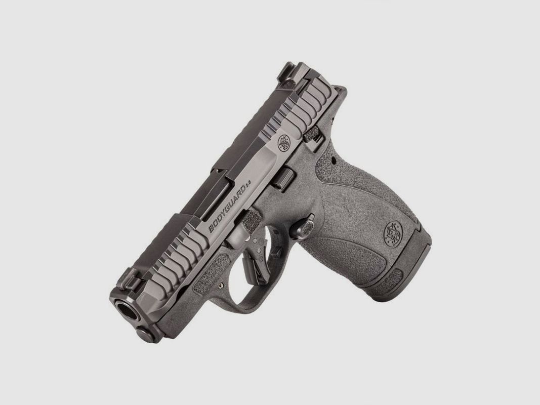 PISTOLE – SMITH & WESSON – M&P 2.0 BODYGUARD 2.75′ .380ACP Brunita, Bild 6 von 6