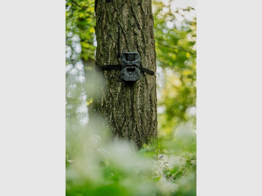 HIKMICRO T16 4G Wildkamera Dual-FOV, bis 24 MP, 64 GB