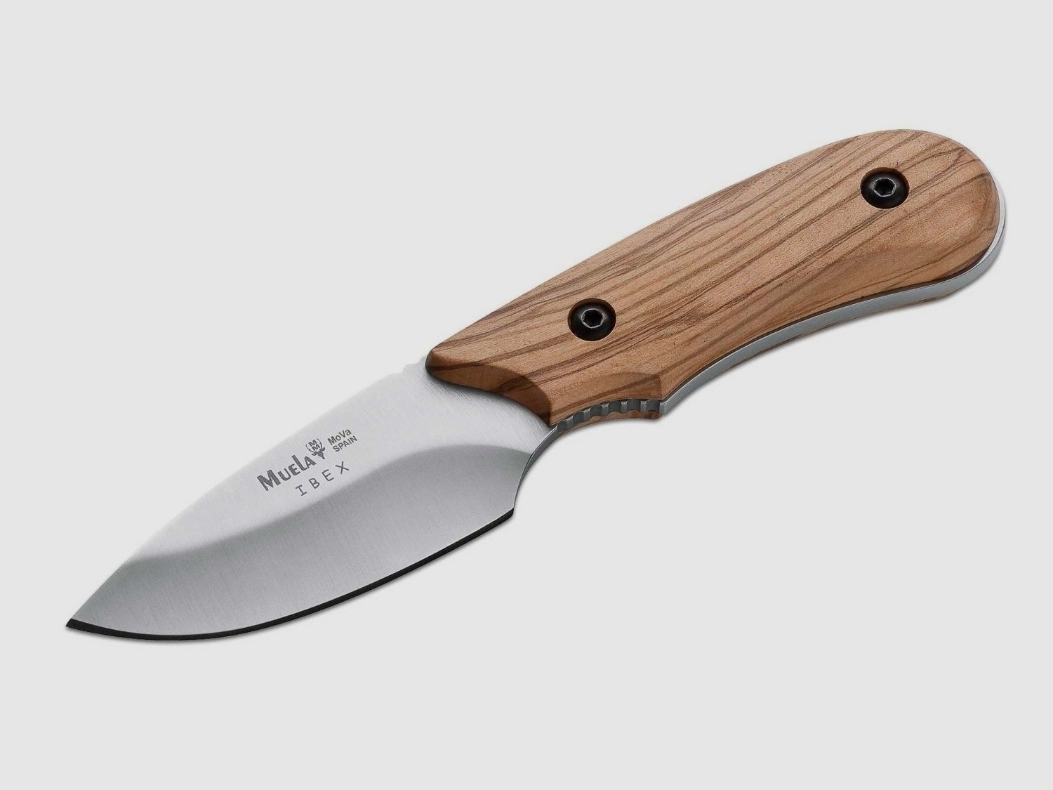 MUELA IBEX OLIVE hunting knife olive wood high-quality leather sheath