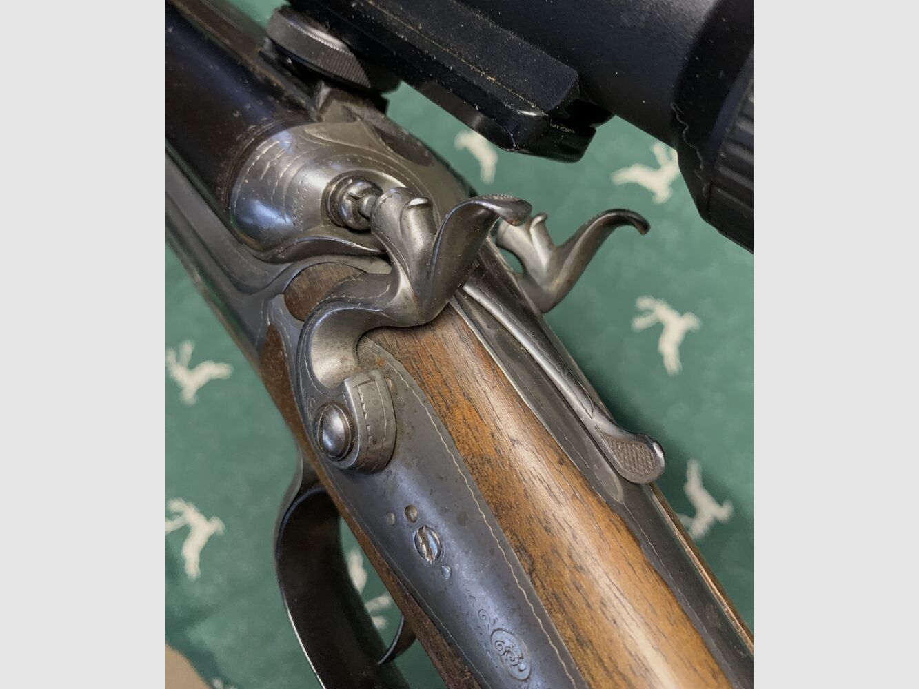 F.Kief Peine Hahndrilling ZF Kahles Helia CSX 3-12-x56 Leuchtabsehen - 8x57IR + 16/65