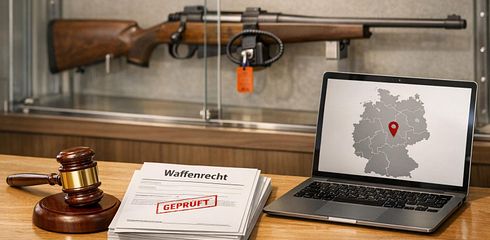 Las mejores plataformas para subastas de armas