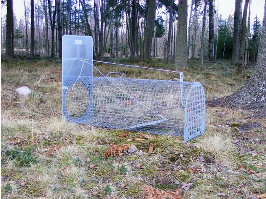 Piège à blaireaux Lotin (non monté)