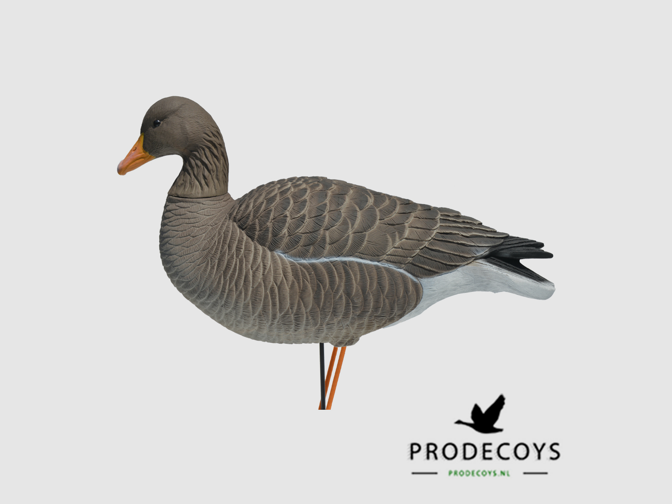 Prodecoys Graugans ELITE Lockset mit 6 Stück, Bild 2 von 3
