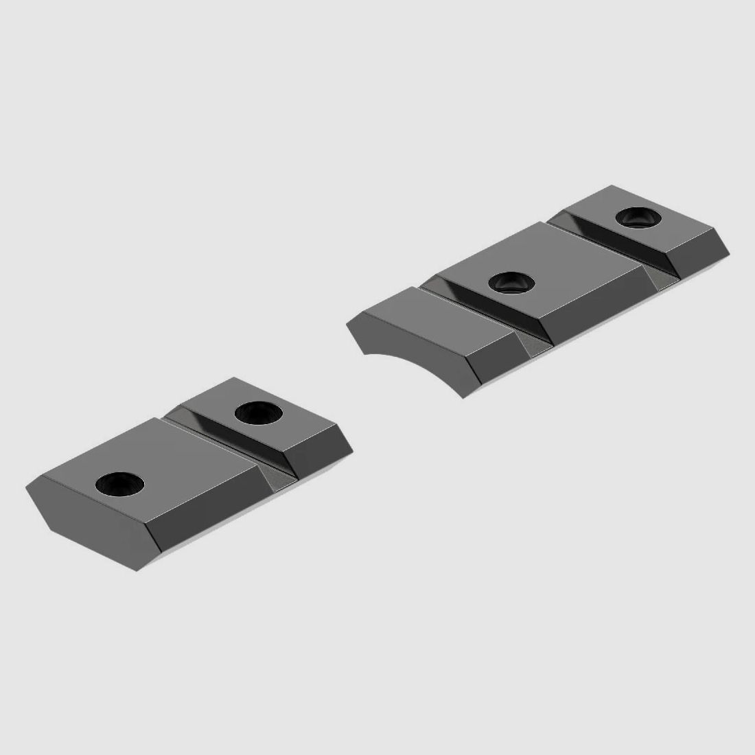 Basis-Set LEUPOLD QRW – Savage 110 (Flat RCVR)