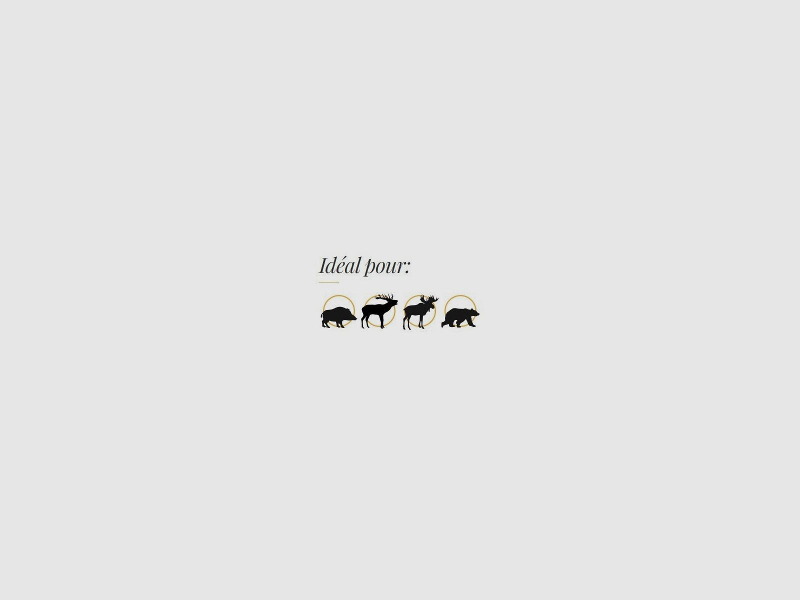 Patronen Fox Bullets - Kal. 9.3x62, Bild 2 von 2