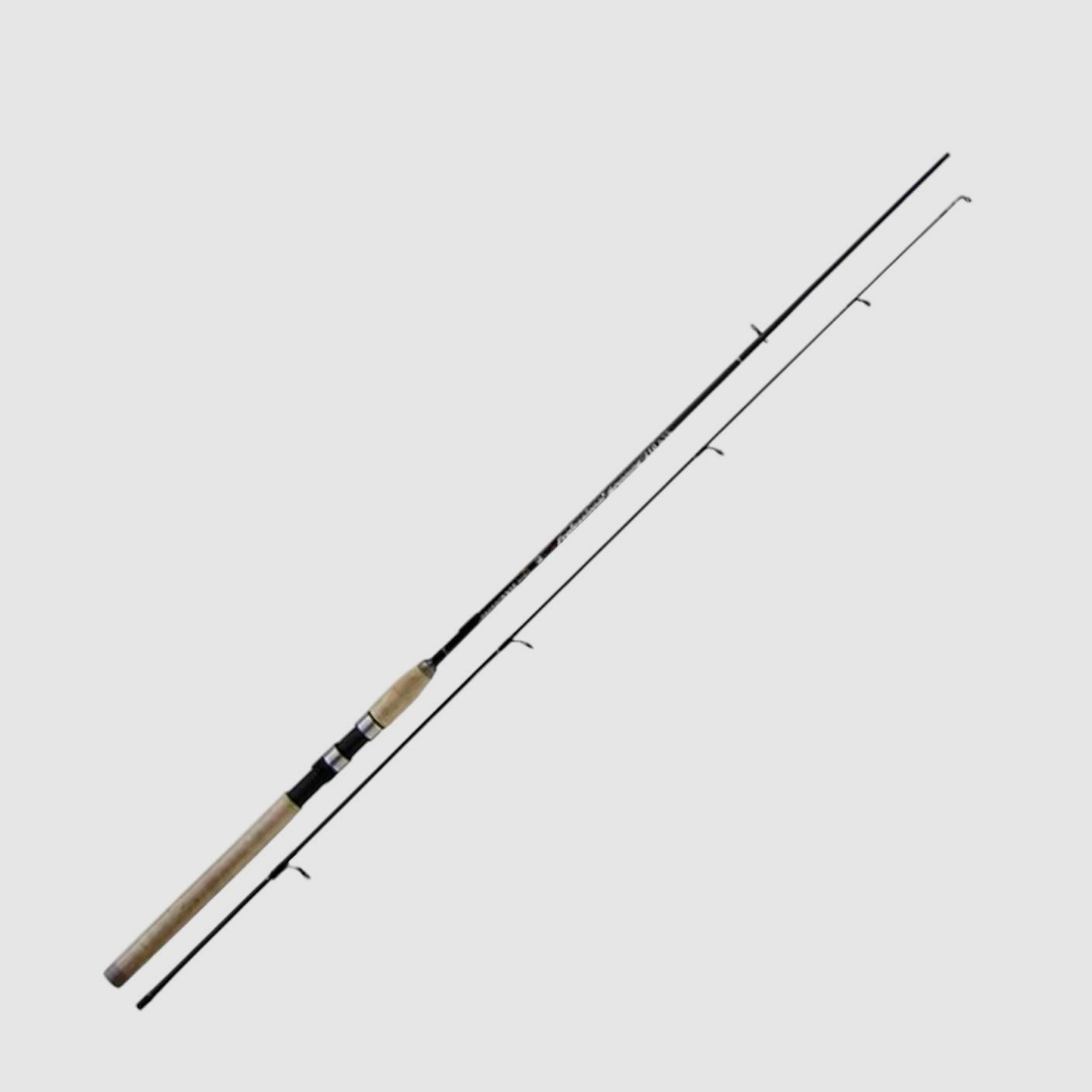 Spinnrute 2 Teile 2,70 m 10-40 g Tecnocanna