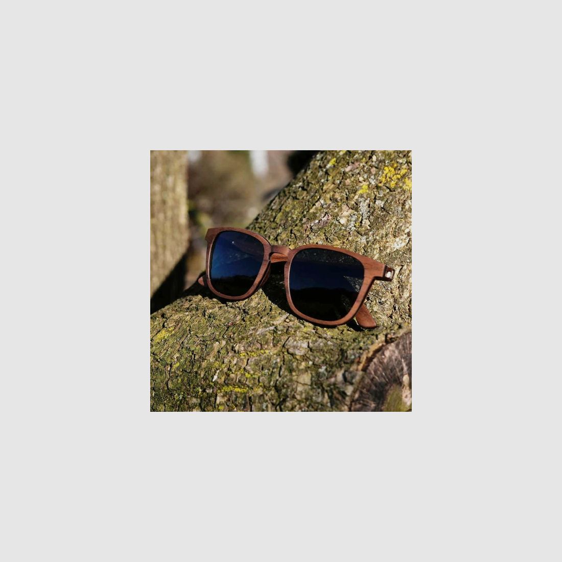 Lunettes de soleil Forest View en bois de noyer