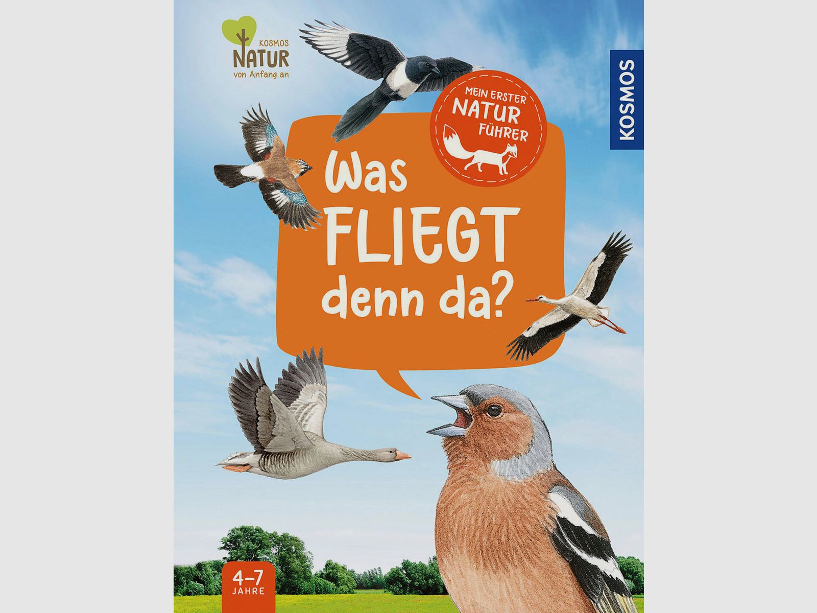 Mein erster Naturführer – Was fliegt denn da?