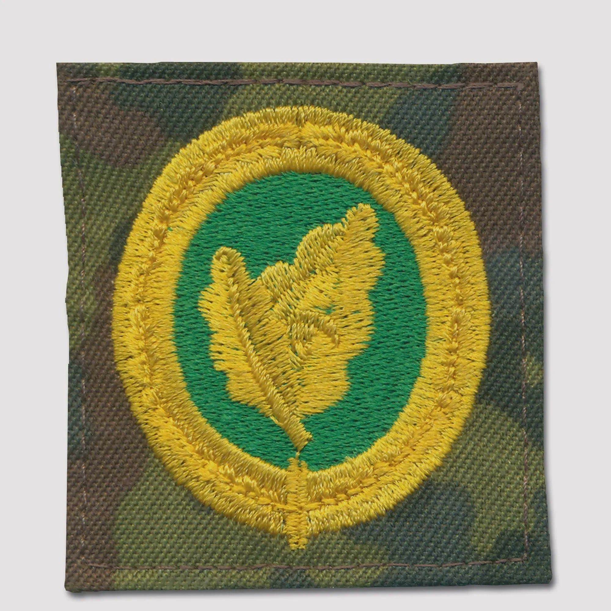Fritzsch Abzeichen BW Einzelkämpfer II flecktarn goldfarben