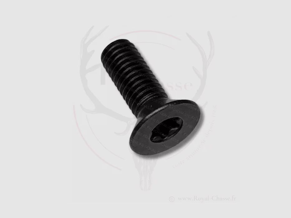 Befestigungsschraube Vorderteil R8 Professional Torx M5x14 BLASER, Bild 4 von 4