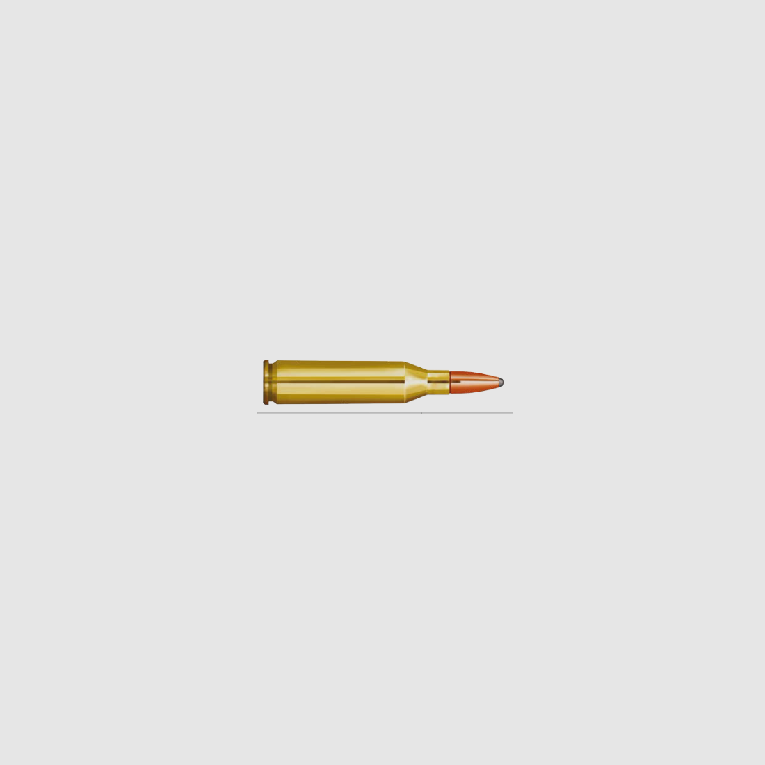 Partizan 243 Winchester SP 100gr