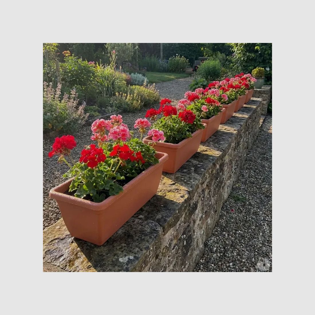 Set aus 8 Elho® Balkonkästen 50x16cm aus Kunststoff mit Terracotta-Effekt, Bild 1 von 9
