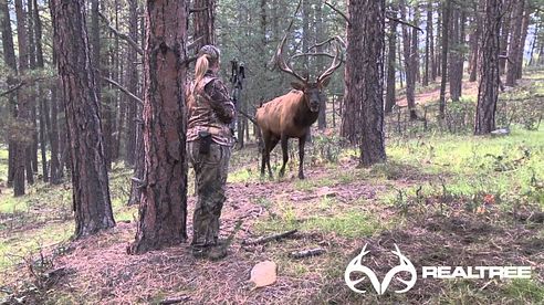 15-Yard Files: Female Bowhunter Stares Down Giant Bull Elk at 4 Yards