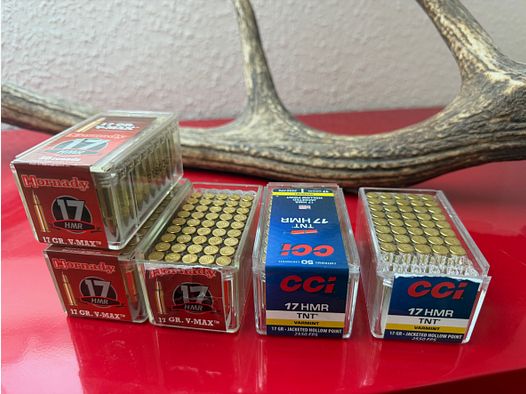 235 Schuss .17 HMR (Hornady & CCI) 17GR VMAX